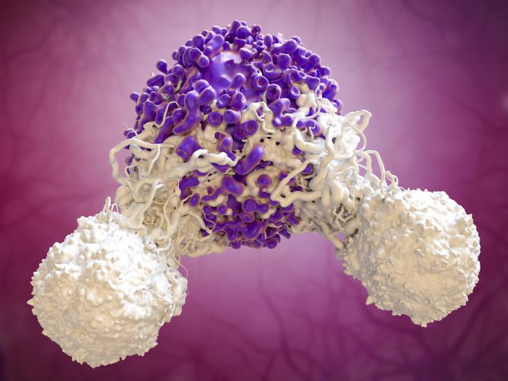 T-Cell
